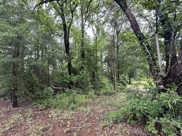 0 W Meredith Street, Marshall, TX 75670