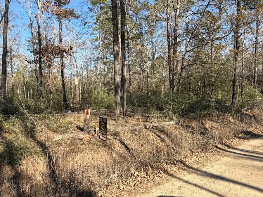 0 Josh Lane, Trinity, TX 75862 - #2