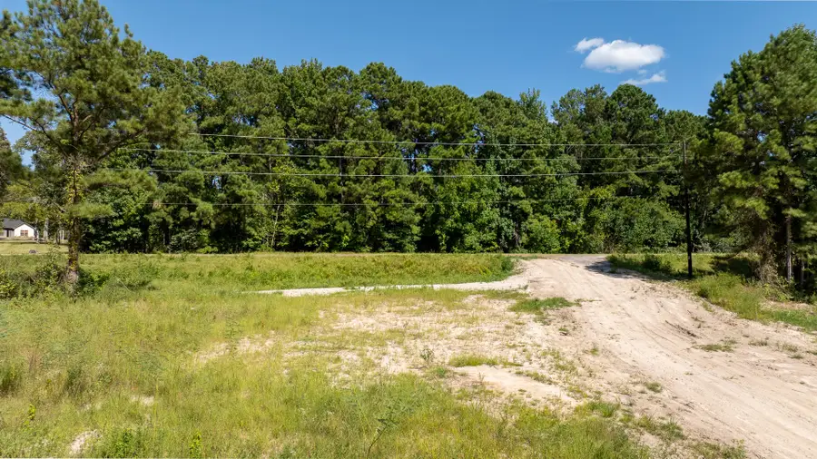 16124 Fm 2109, Zavalla, TX 75980 - #3