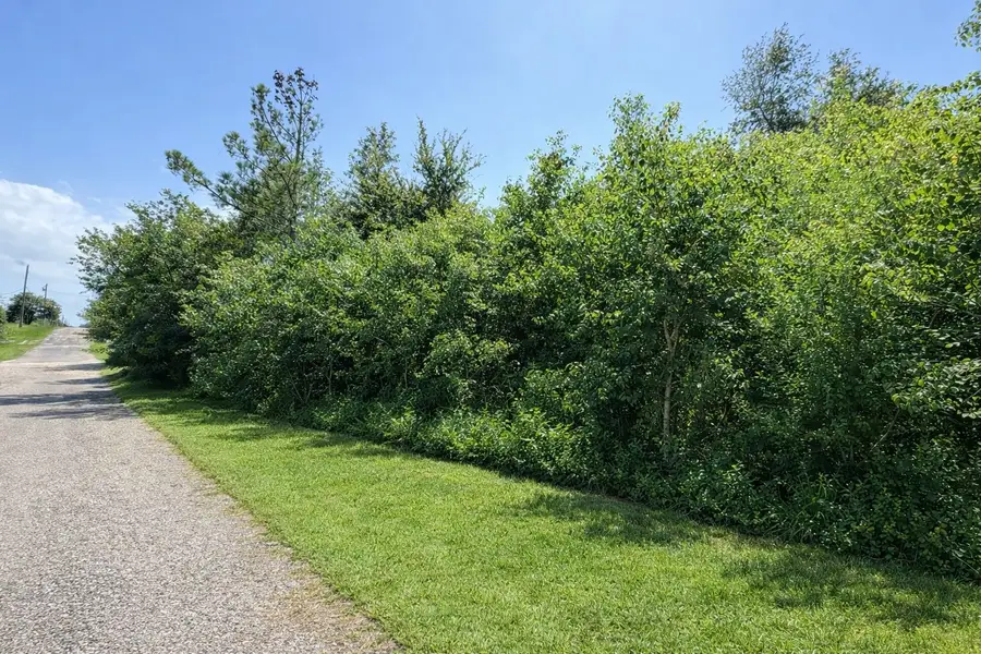 Lot 42 Linger Lane, Onalaska, TX 77360 - #3