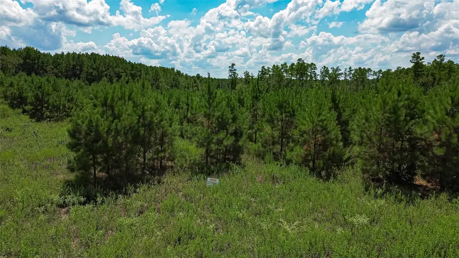 0 Cherokee Trail Trail, Lovelady, TX 75851 - #2
