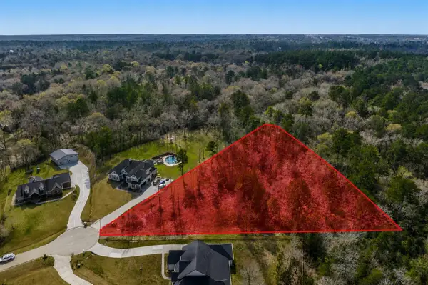 14701 Topaz Court, Willis, TX 77378