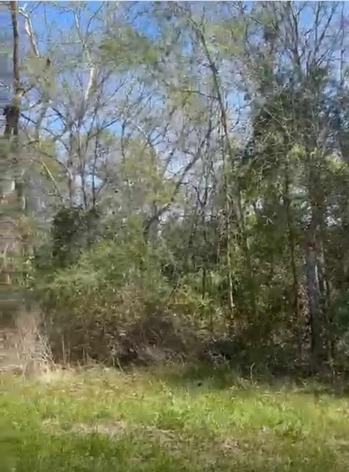 24961 Leitrim Street Street, Hempstead, TX 77445 - #1