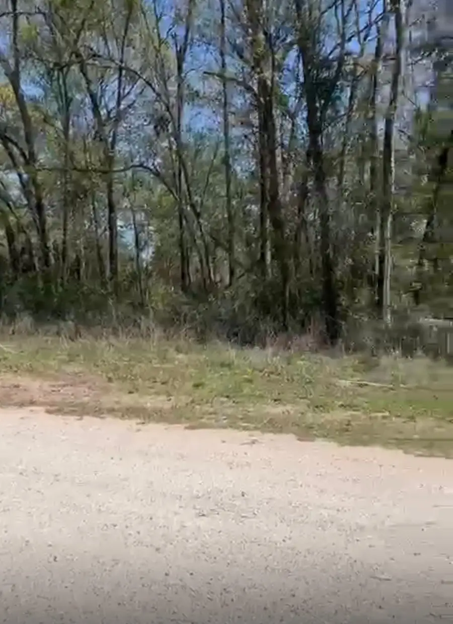 24961 Leitrim Street Street, Hempstead, TX 77445 - #3