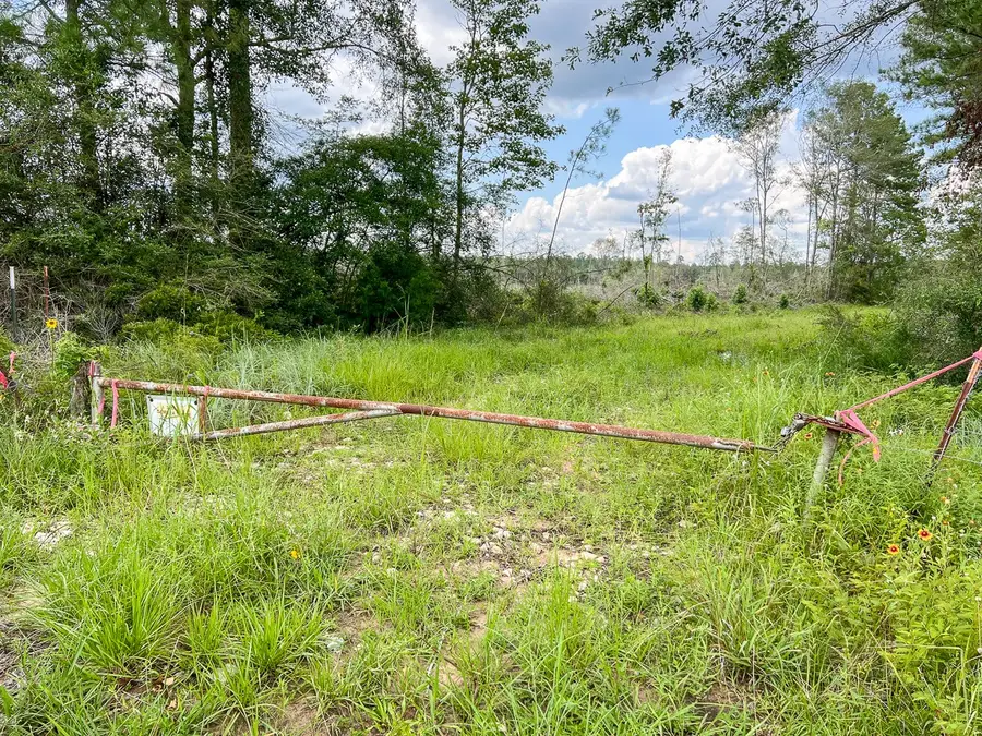 1 Old Honey Island Road, Kountze, TX 77625 - #3
