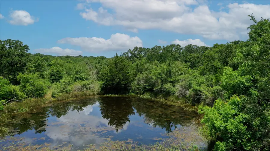 TBD Fm-2154, Navasota, TX 77868 - Image #3