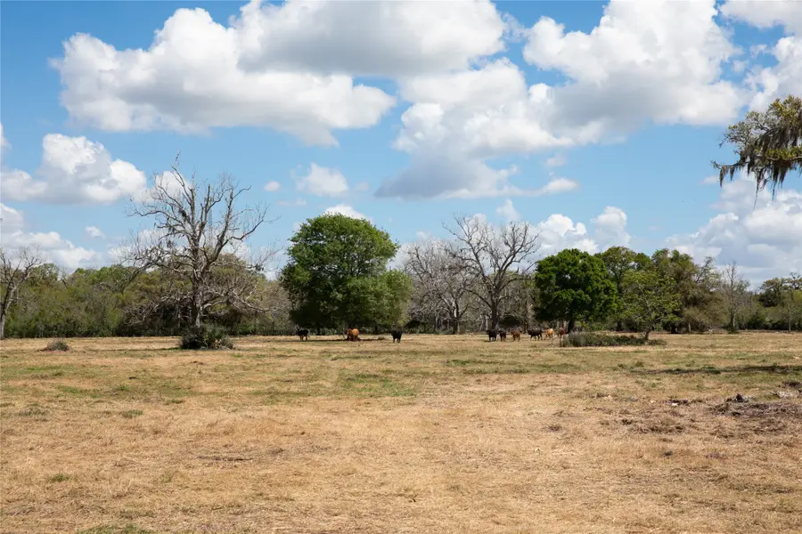 14.5 Acres Cr 320, Brazoria, TX 77422 - #2