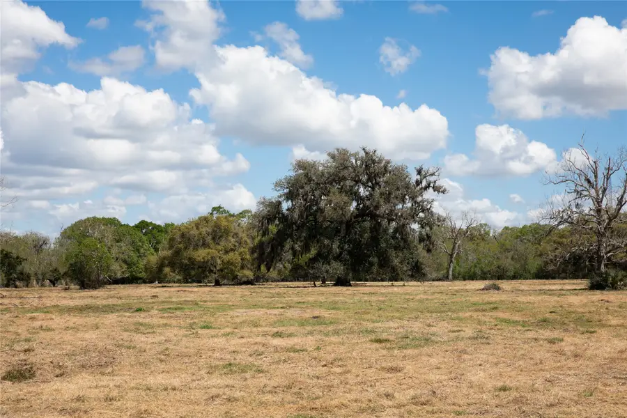 14.5 Acres Cr 320, Brazoria, TX 77422 - #3