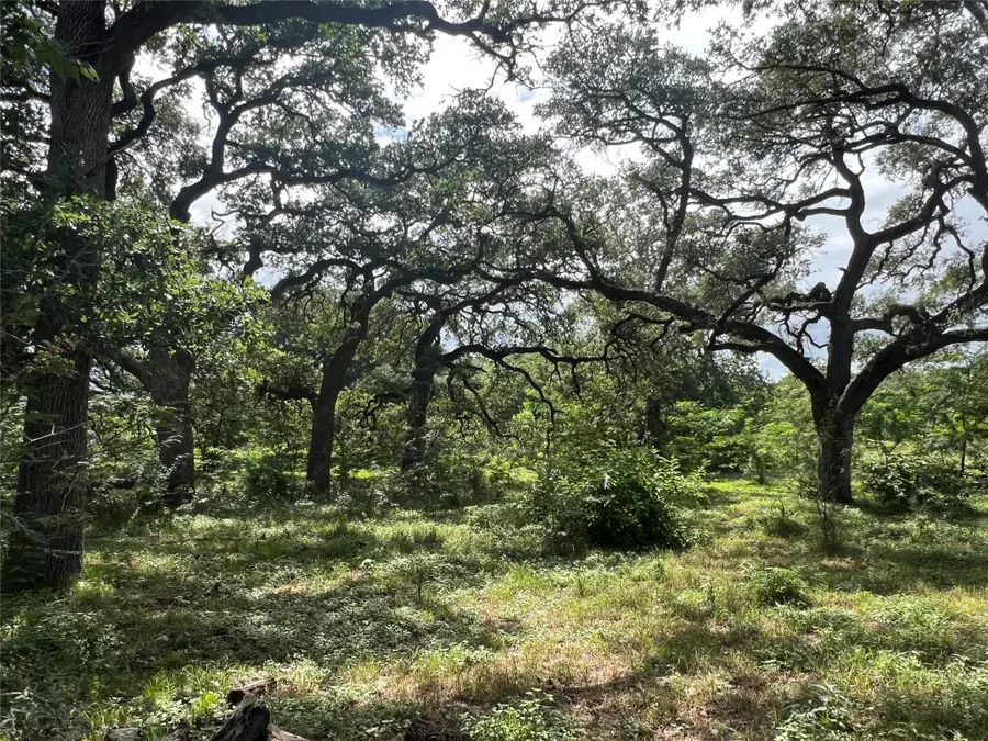 3500 Fm 1579, Schulenburg, TX 78956 - #2