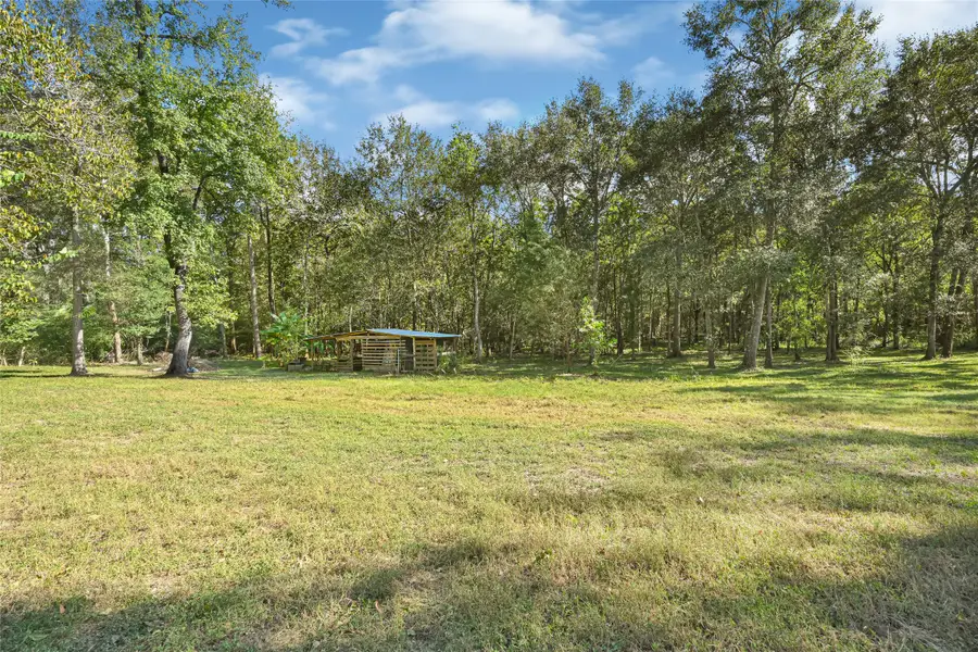 114 Gourd Creek Drive, Huntsville, TX 77340 - #3