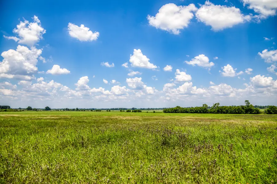 000 Egypt Lane, Washington, TX 77880 - #2