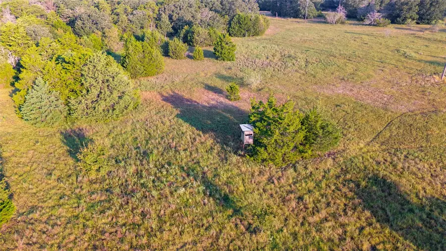 113+/- AC Fellowship Ln Lane E, Madisonville, TX 77864 - #2