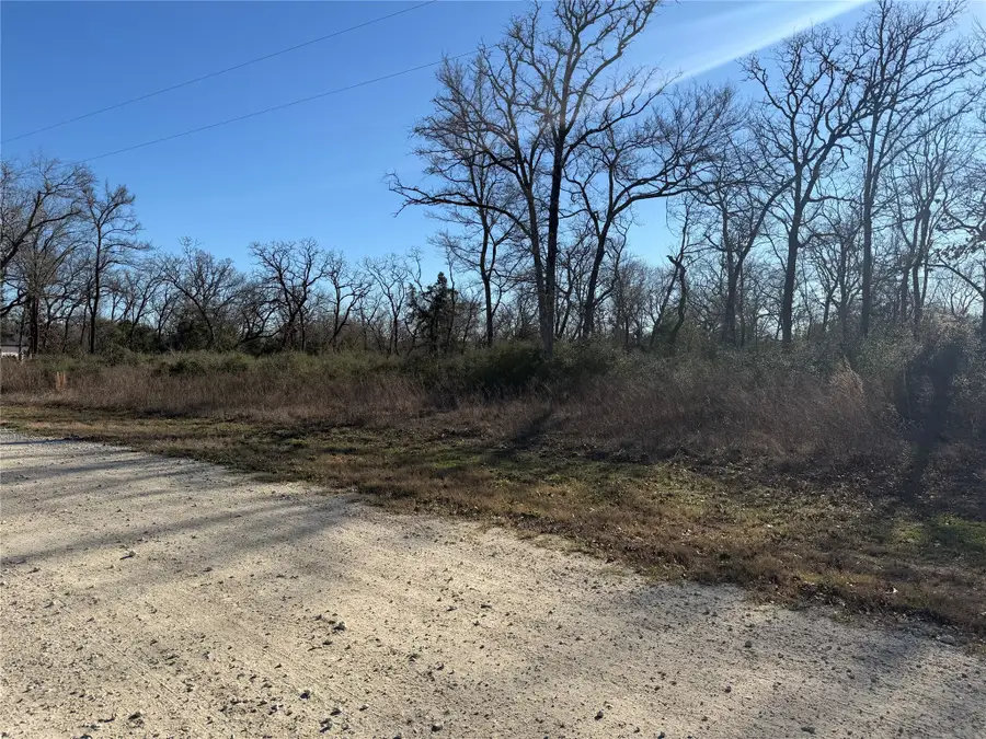 Lot 29 Cr 389, Jewett, TX 75846 - Image #3