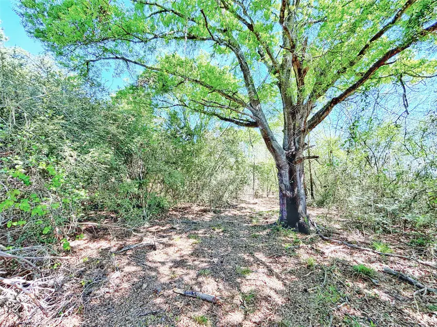 000 Cr 3495, Lovelady, TX 75851 - #2