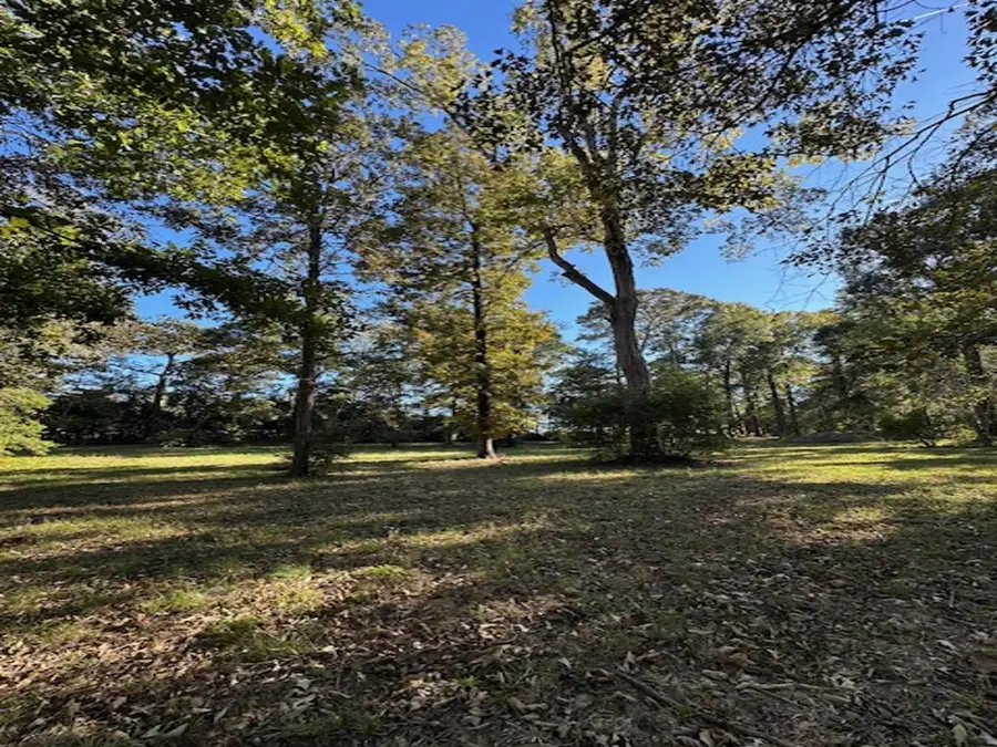 10699 Magnolia Drive, Conroe, TX 77303 - Image #3