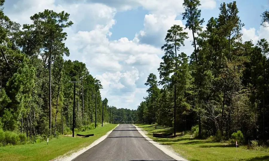 14-37-40 Sandpiper Drive, New Waverly, TX 77358 - Image #3