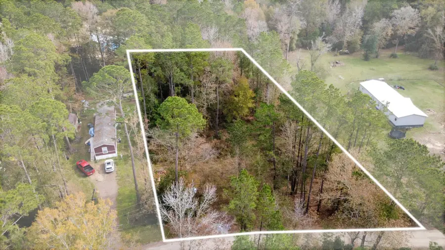 0 L Denson Road, Coldspring, TX 77331 - Image #2