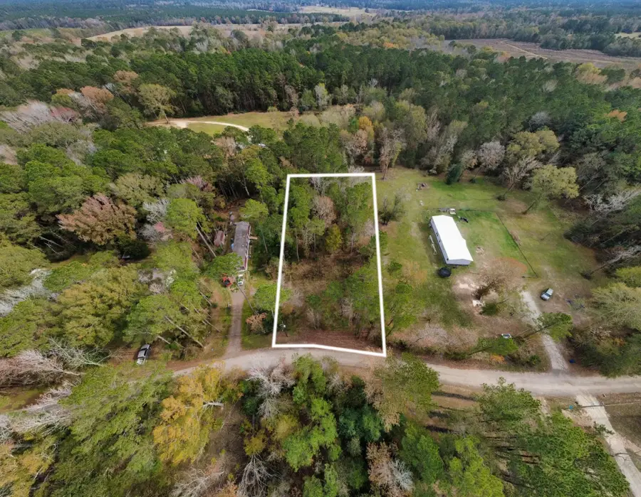 0 L Denson Road, Coldspring, TX 77331 - Image #3