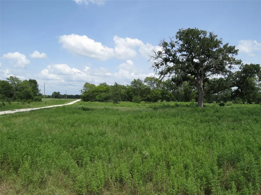 TBD Southfield Ct, Lovelady, TX 75851 - #3