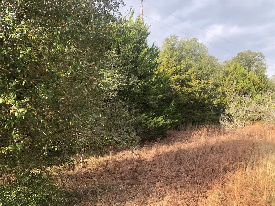 0 Sierra Road, Brenham, TX 77833 - #3