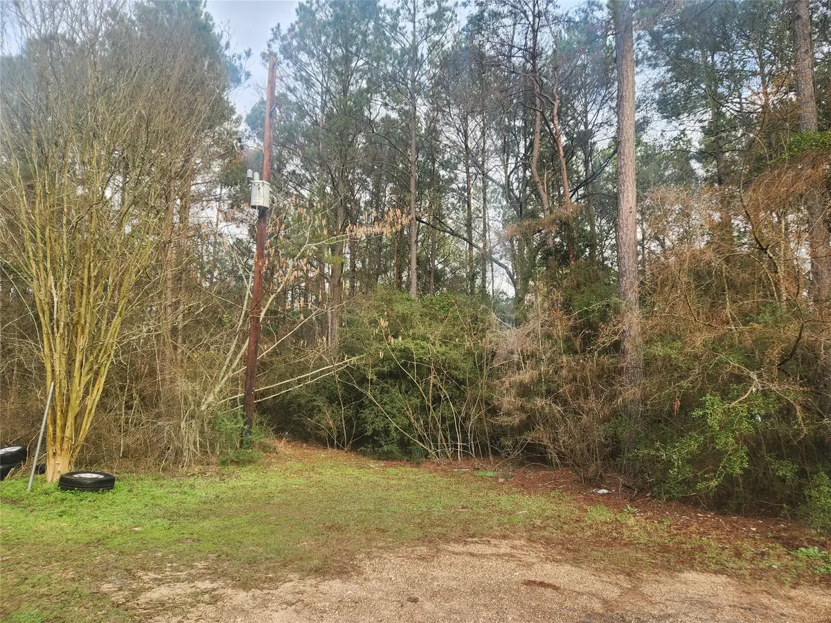 Lot 8 Soapberry Lane, Plantersville, TX 77363 - #1