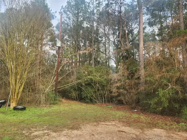 Lot 8 Soapberry Lane, Plantersville, TX 77363