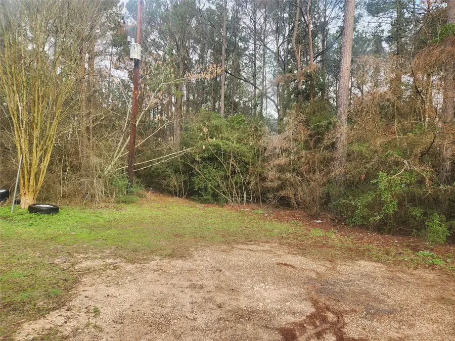 Lot 8 Soapberry Lane, Plantersville, TX 77363 - #3