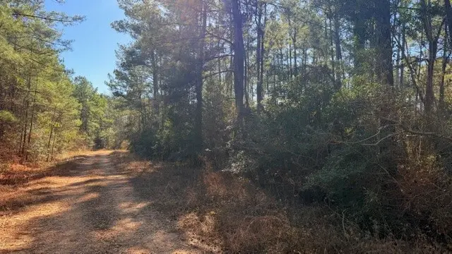 TBD Preacher Denson Road, Coldspring, TX 77331 - #3