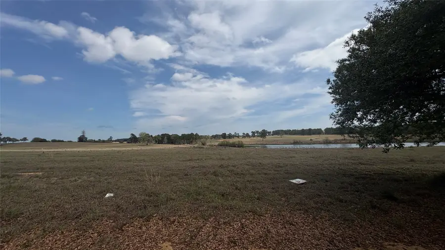 LOT 56 Lakeland Drive, Hillister, TX 77624 - #2