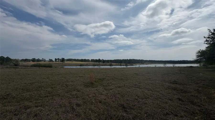 LOT 56 Lakeland Drive, Hillister, TX 77624 - #3