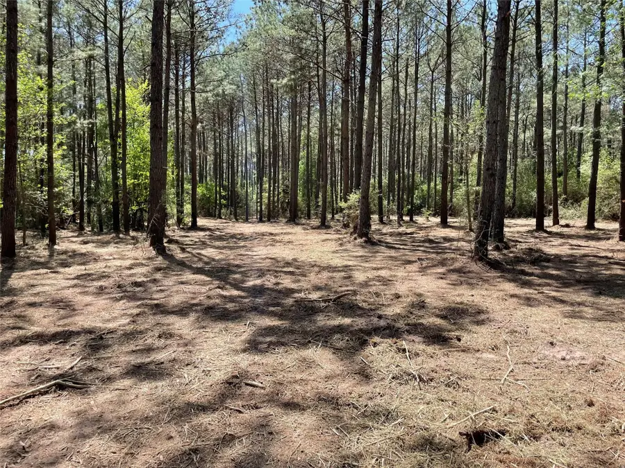 15899 Wood Grove Way, Willis, TX 77378 - #2