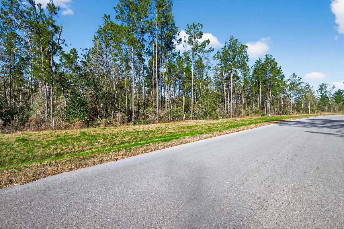 11623 Dawn Tree Lane, Willis, TX 77378 - Image #1