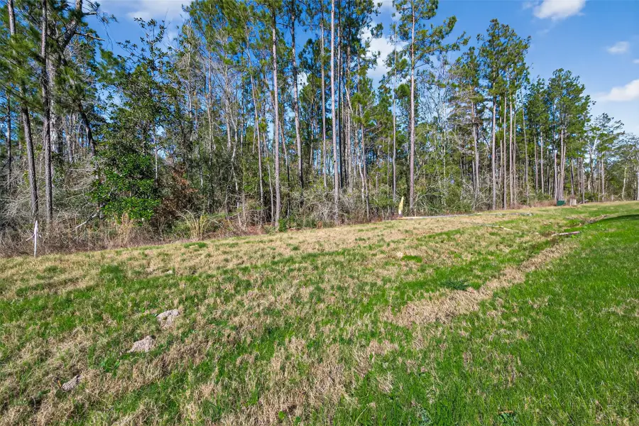 11623 Dawn Tree Lane, Willis, TX 77378 - Image #3