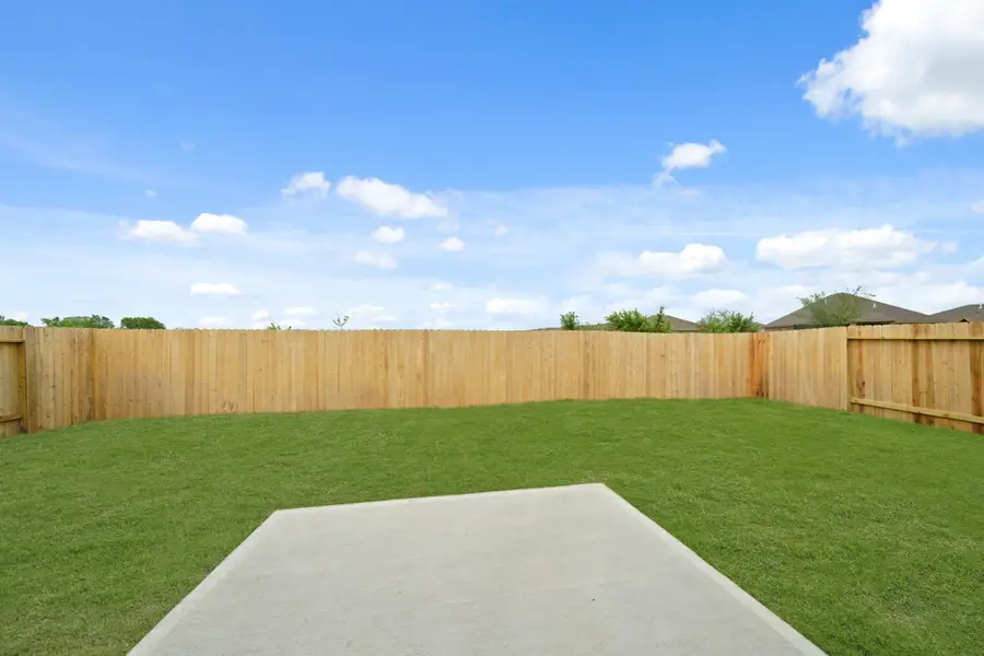 29226 Dandelion Sky Drive, Waller, TX 77484 - #2