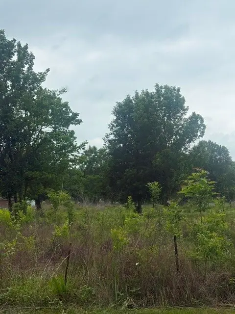 0 County Road 2500, Liberty, TX 77575 - #1