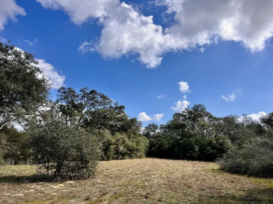 11 Acres Loose Cow Rd, Garwood, TX 77442 - #2