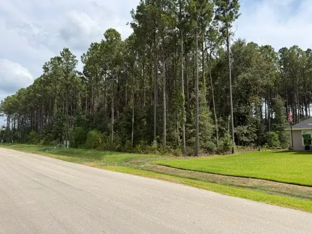 1552 Road 66114, Dayton, TX 77535 - #2