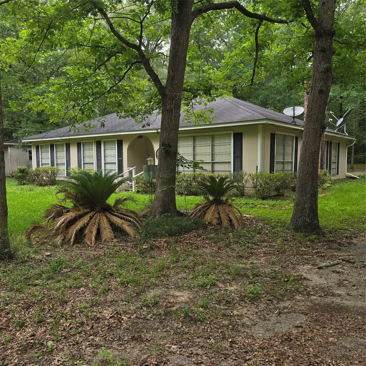 910 Ragsdale Springs Road, Shepherd, TX 77371 - #1