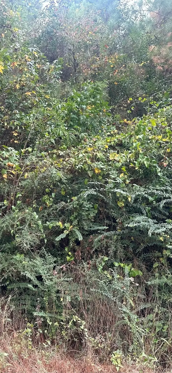 TBD Williams Drive, Livingston, TX 77351 - Image #1