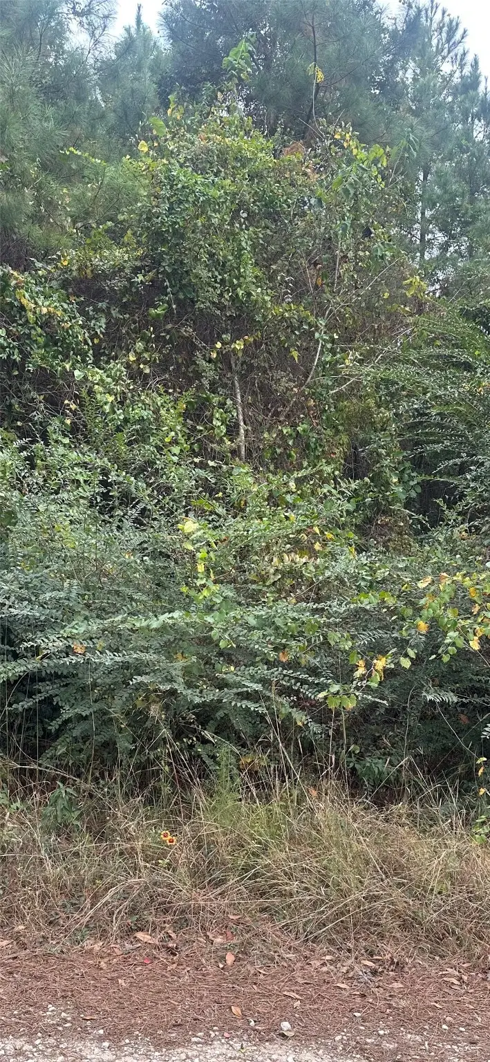 TBD Williams Drive, Livingston, TX 77351 - Image #2