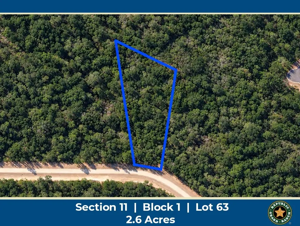 15437 Woodlife Road, Willis, TX 77378 - #1