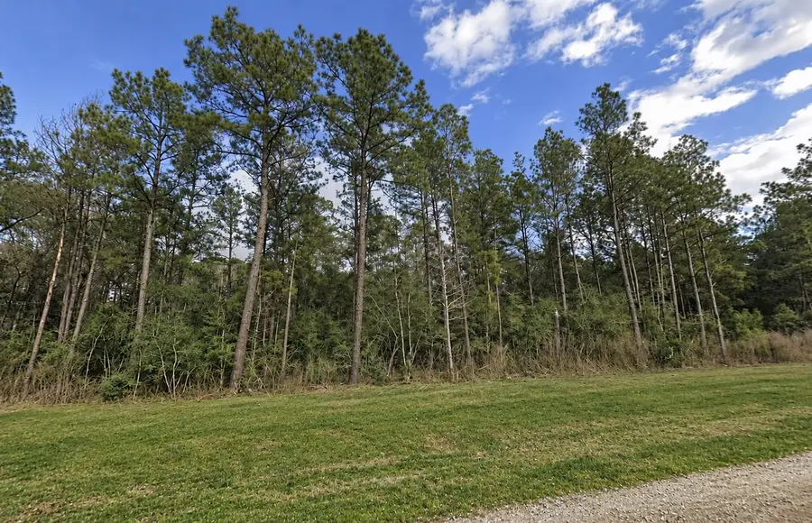15437 Woodlife Road, Willis, TX 77378 - #3