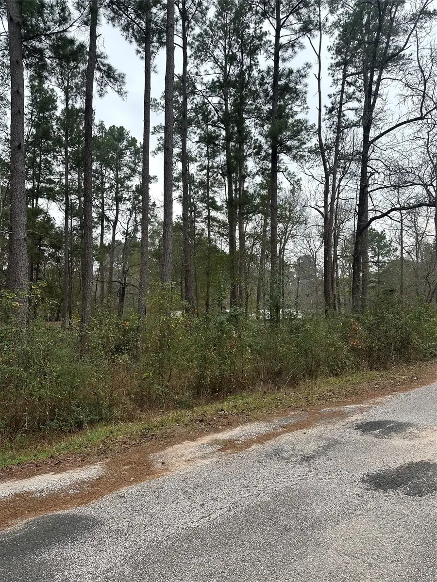 4 Yolanda Street, Huntsville, TX 77320 - #2