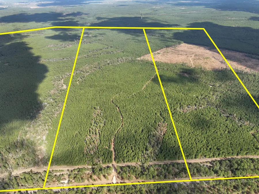 T-3 Fm 247, Huntsville, TX 77340 - Image #2