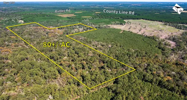 TBD Butler Road, Livingston, TX 77351