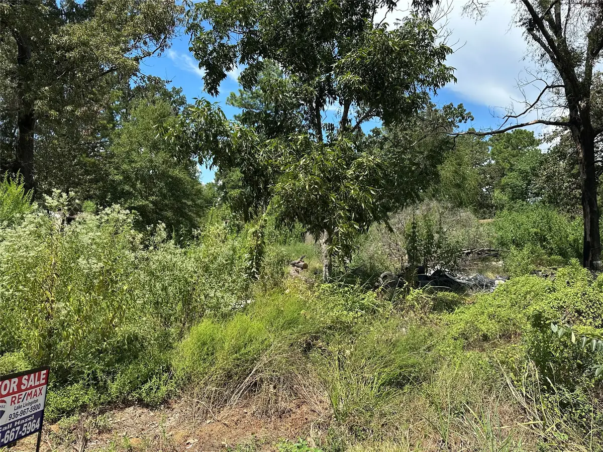 389 E Sherwood Drive, Livingston, TX 77351 - #1