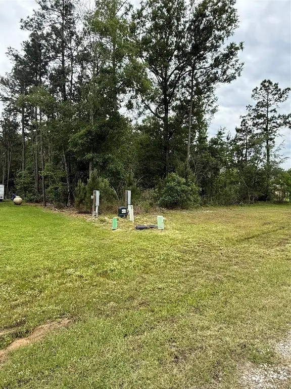 31 Road 66111, Dayton, TX 77535 - #2