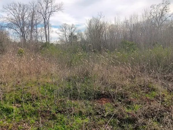 00 W Eilenstein Street, Palestine, TX 75803
