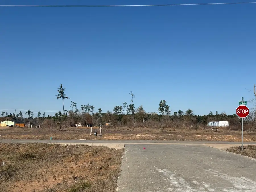 6089 Road 5872, Cleveland, TX 77327 - Image #3