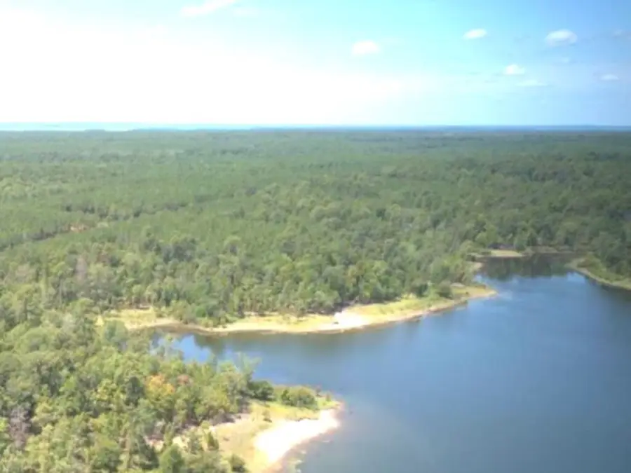 688 Private Rd 7830, Broaddus, TX 75929 - #2